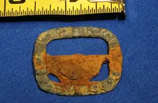 BUCKLE.webp