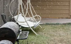 snow1.webp