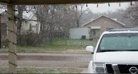 snow2.webp