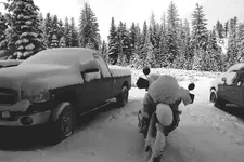 Elk 2009 Hunt134.webp