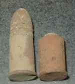 2 shells 1.webp