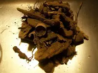 FEB 20TH 1803 DRAPED BUST 011.webp