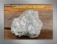 4.7 TROY OZ SILVER SPECIMEN SF.webp