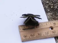 DSCF6032.webp