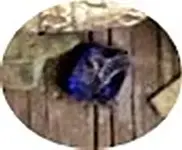 Sentinel 001.webp