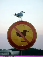!cid_F78B3696143946A29E9DE63A74AD6FD8@AudreyPC.webp