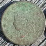 LC front.webp