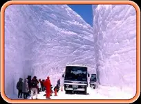 !cid_8B9699FCCA714628B4D82E0CF6AC4AF8@AudreyPC.webp
