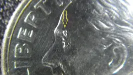IMGP1983.webp