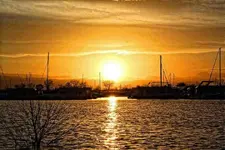 1c.webp