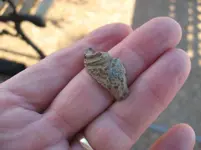 010712h.webp