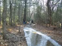 DEC 29TH HUNT WITH GROUP 3 COPPERS 010.webp