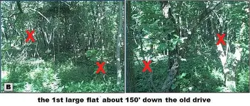 flat 1-cw0909.webp