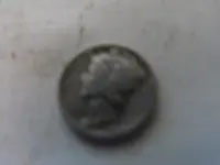 DSCF7386.webp