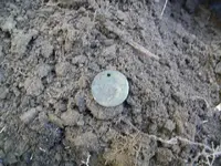 DEC 29TH HUNT WITH GROUP 3 COPPERS 007.webp