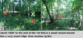 flat 2-cw0909.webp