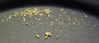 Georgia Creek Gold.webp