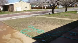snow gone.webp