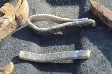 NH FINDS 01-18 037.webp