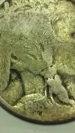 2BBUFFALO.webp