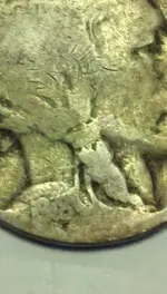 2CBUFFALO.webp