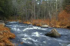 38805smithriver_jpg (1).webp
