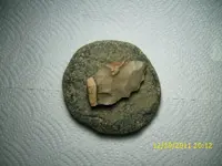 006 (1024x768).webp