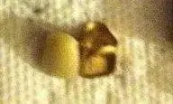 b2.webp