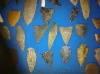 CIMG0531.webp