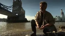Ron on the thames.webp
