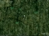 Wolf Trap Road2.webp
