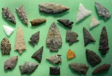 Rhode Island Sandbar Finds 010.webp