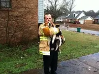 savepupnew.webp