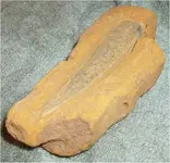 stone1.webp