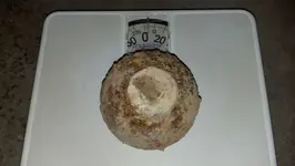 Cannonball on scale.webp