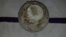 Cannonball without tape measure.webp