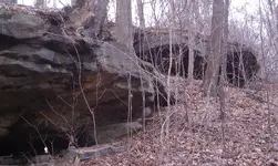 Two Shelters Resized.webp