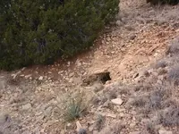 Mine South 5.webp