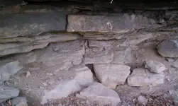 1st Shelter Underneath Resized.webp