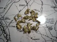 FAKE NUGGETS 002.1.webp
