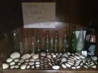 Seashells1.webp
