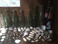 Seashells3.webp