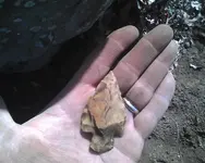 02 19 12 White River Finds1.webp
