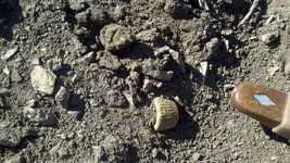 2012-03-10_12-03-21_179 (1024x577).webp