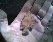 02 19 12 White River Finds2.webp