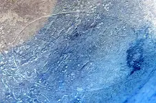 ENGRAVED-Invert-3.webp