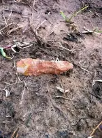 2-1-12 Find.webp