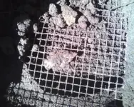 02 19 12 White River Finds3.webp