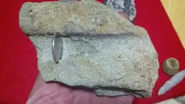 2012-03-10_20-07-55_188 (1024x577).webp