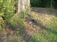 DSCN5783.webp